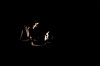 puchmajer-pribehy-z-pohrbu-2019-05-29-521A9351-1sm
